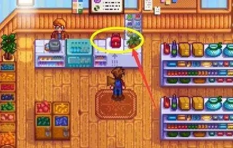 星露谷物语枫姨美化版