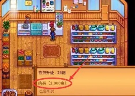 星露谷物语枫姨美化版