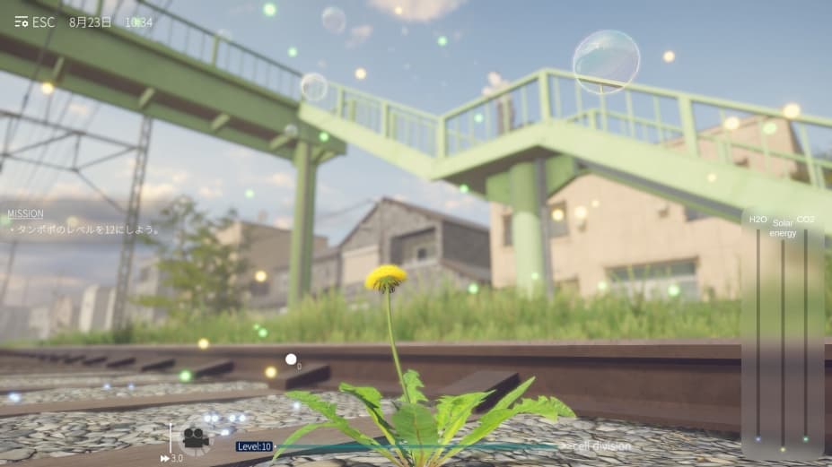 蒲公英不屈手机版