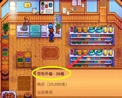 星露谷物语枫姨美化版