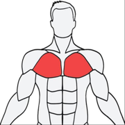 MuscleWiki中文版
