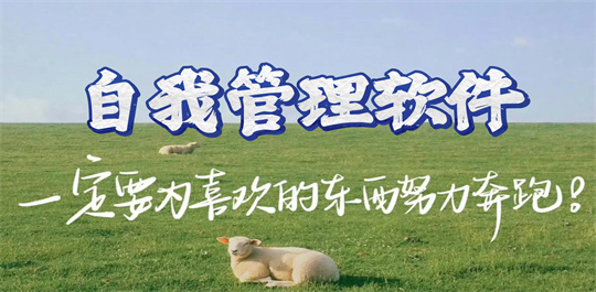 自我管理软件