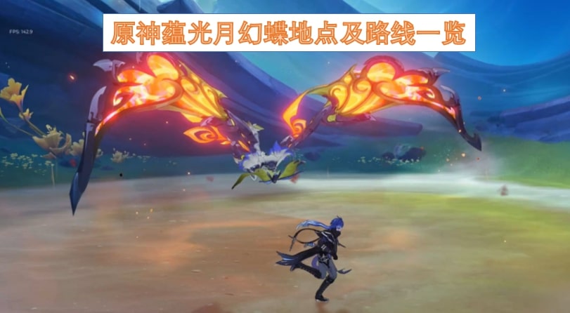 原神蕴光月幻蝶地点及路线一览