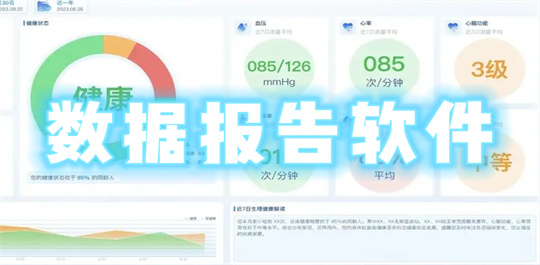 数据报告