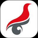 学信网app手机版