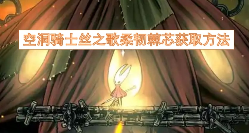 空洞骑士丝之歌柔韧棘芯获取方法