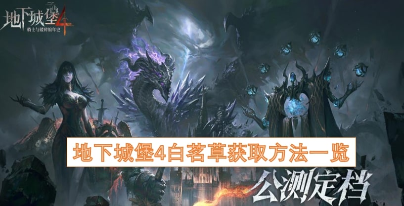 地下城堡4白茗草获取方法一览