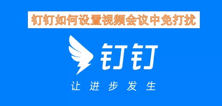 钉钉如何设置视频会议中免打扰