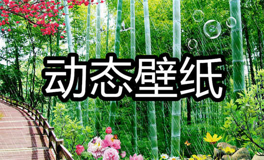 动态壁纸