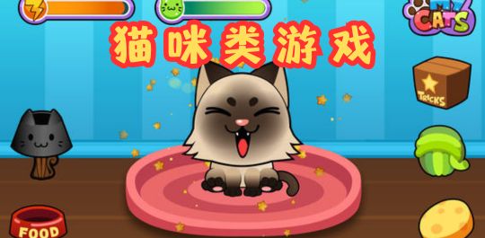 猫咪主题