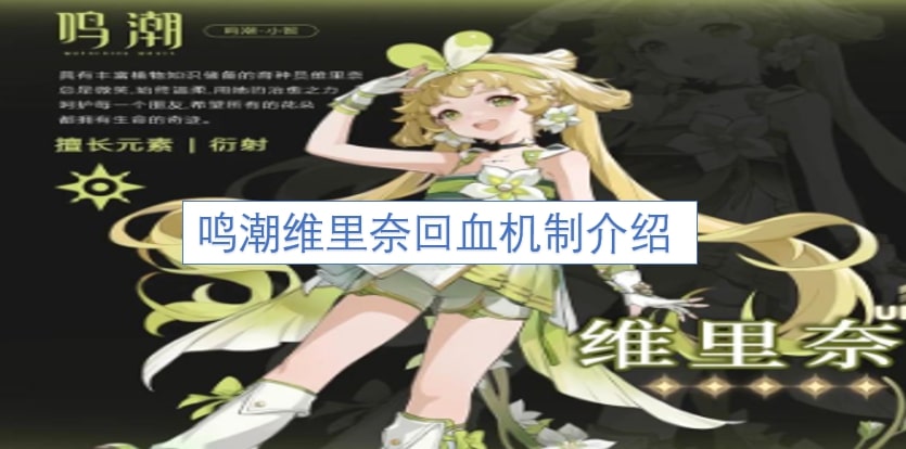 鸣潮维里奈回血机制介绍