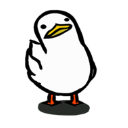 鸭的一生