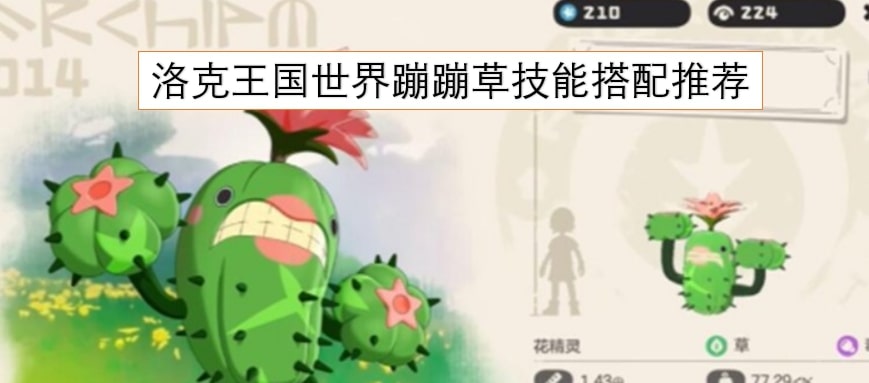 洛克王国世界蹦蹦草技能搭配推荐