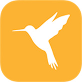 小黄鸟抓包高级版本