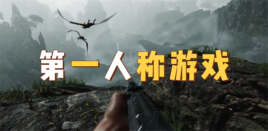 第一人称游戏