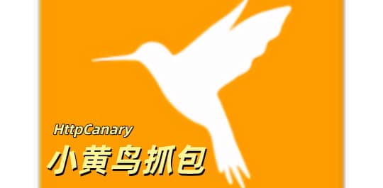 小黄鸟抓包