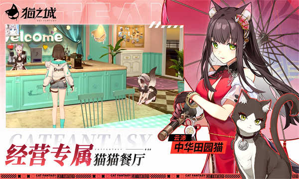 猫之城截图4