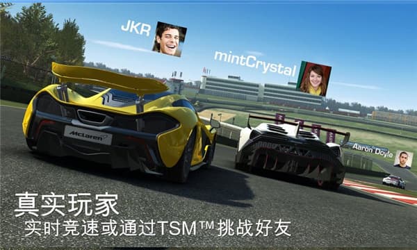 真实赛车3截图5