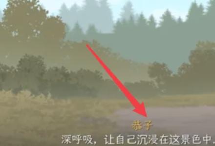 我和朋友陪妈妈去露营汉化