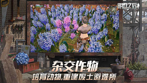 明日之后截图4