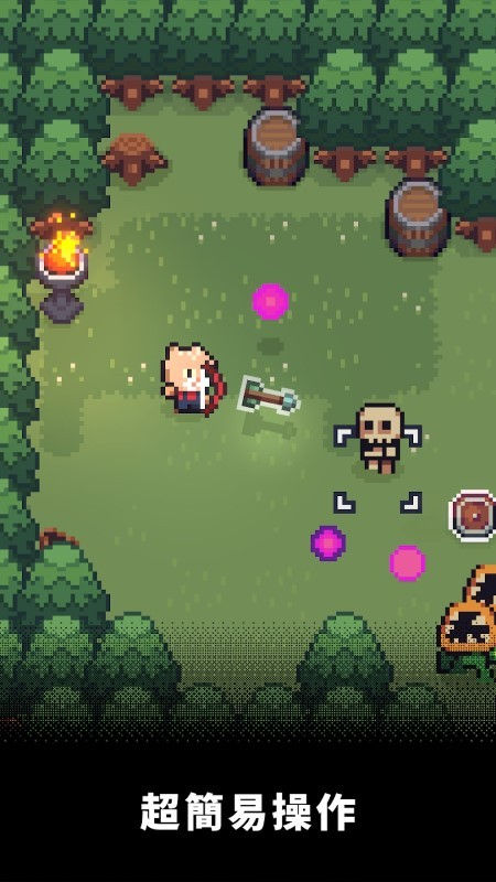 回家的猫游戏截图3