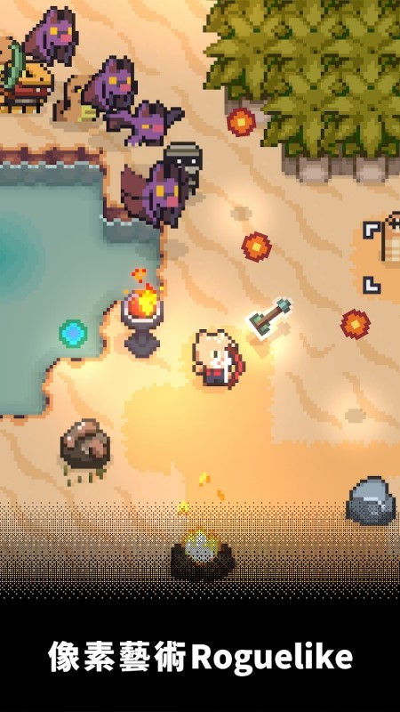 回家的猫游戏截图4