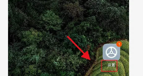 原子随身听图片2