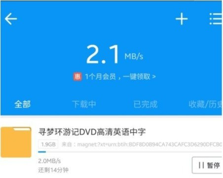 磁力猫(torrentkitty)