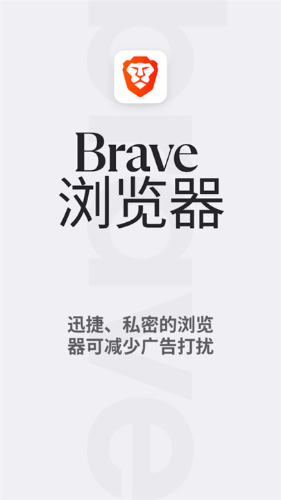 Brave浏览器截图1