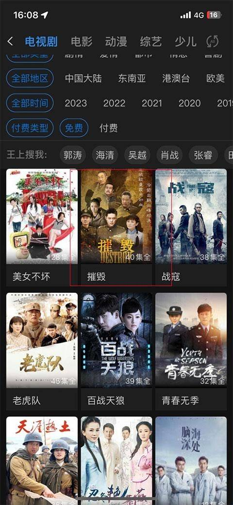 成全视频大全高清全集版