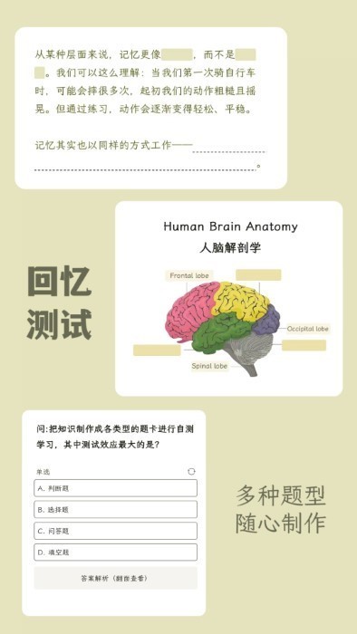 刻记NoteCards截图4
