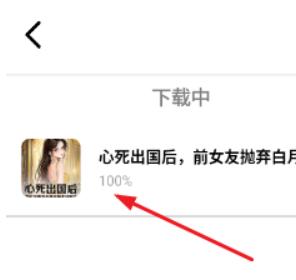 翻页小说阅读器