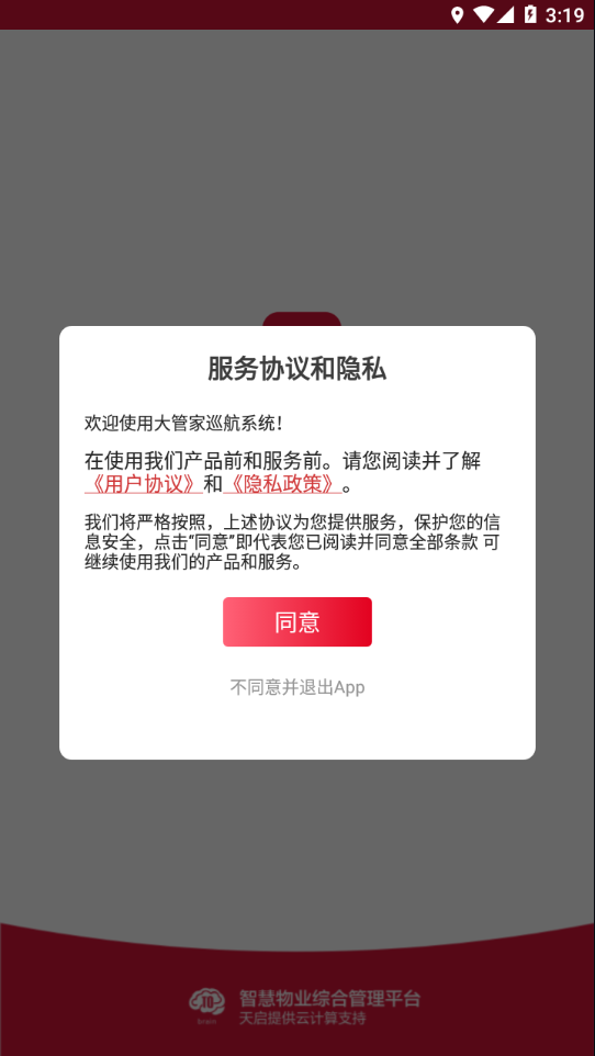 大管家巡航系统截图2