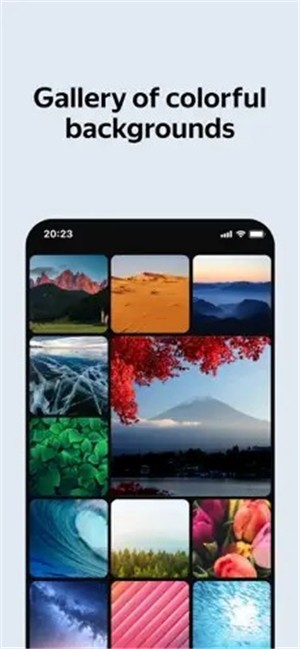 俄罗斯引擎浏览器截图3