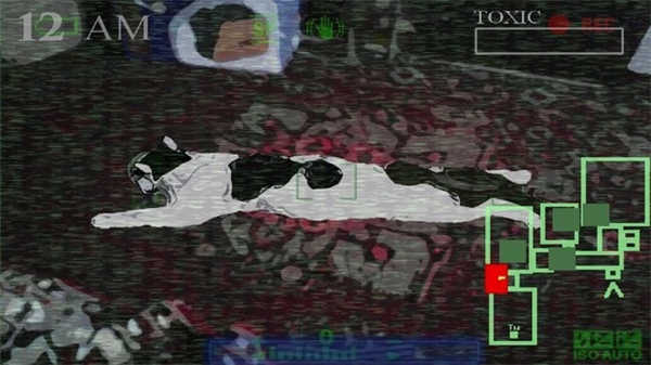 猫咪的五夜后宫截图4