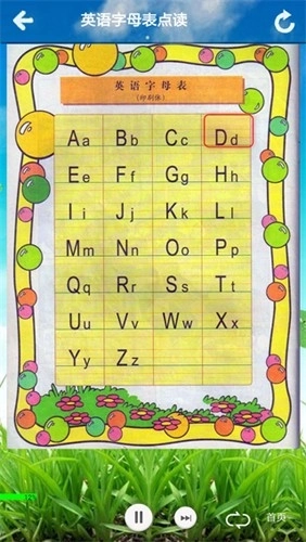 君政教育人教版