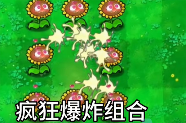 植物大战僵尸逆天版