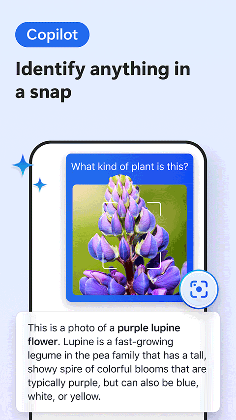 Edge Canary浏览器截图2