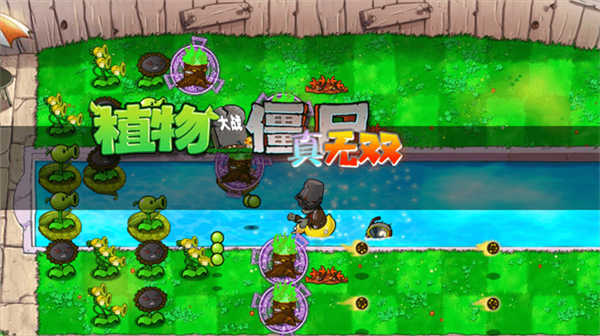 植物大战僵尸真无双版截图1