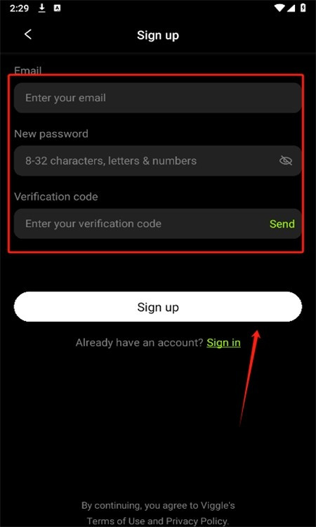viggle ai注册教程