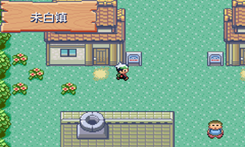 口袋妖怪绿宝石截图2