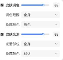 寸心闪传