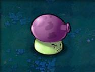 植物大战僵尸重制版