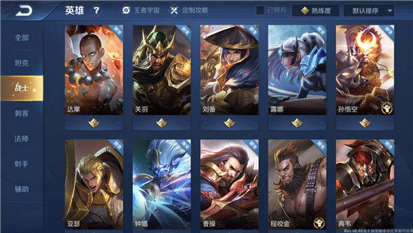 王者荣耀21