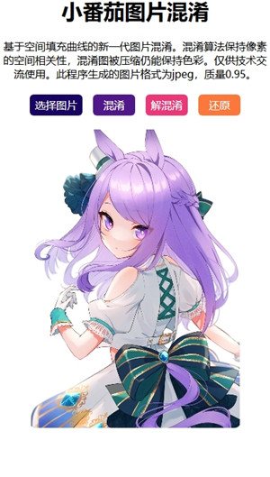 小番茄解图片混淆