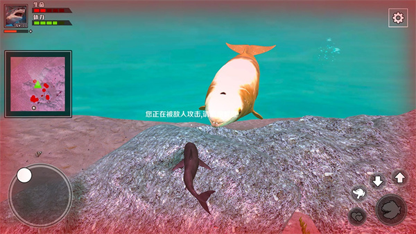 饥饿鲨鱼求生截图5
