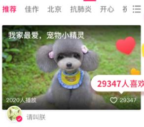 小年糕有声影集