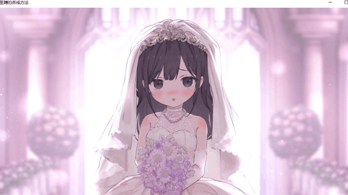 幸福宅女养成方法2.0可结婚截图2