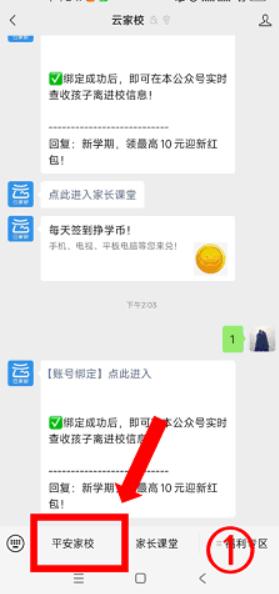 平安家校家长端