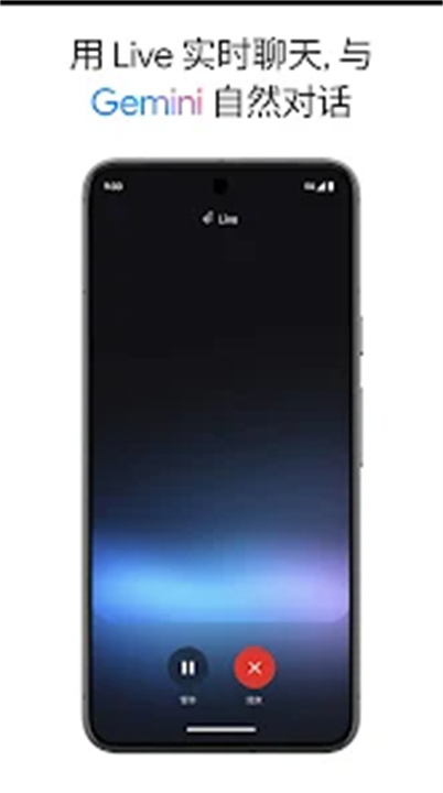 谷歌Gemini截图4